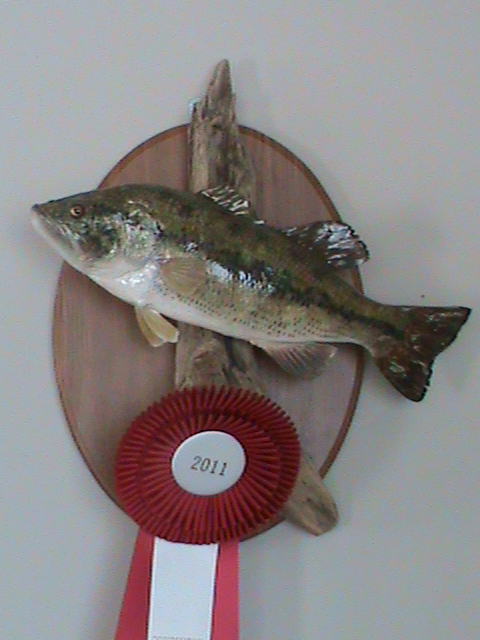 Large Mouth